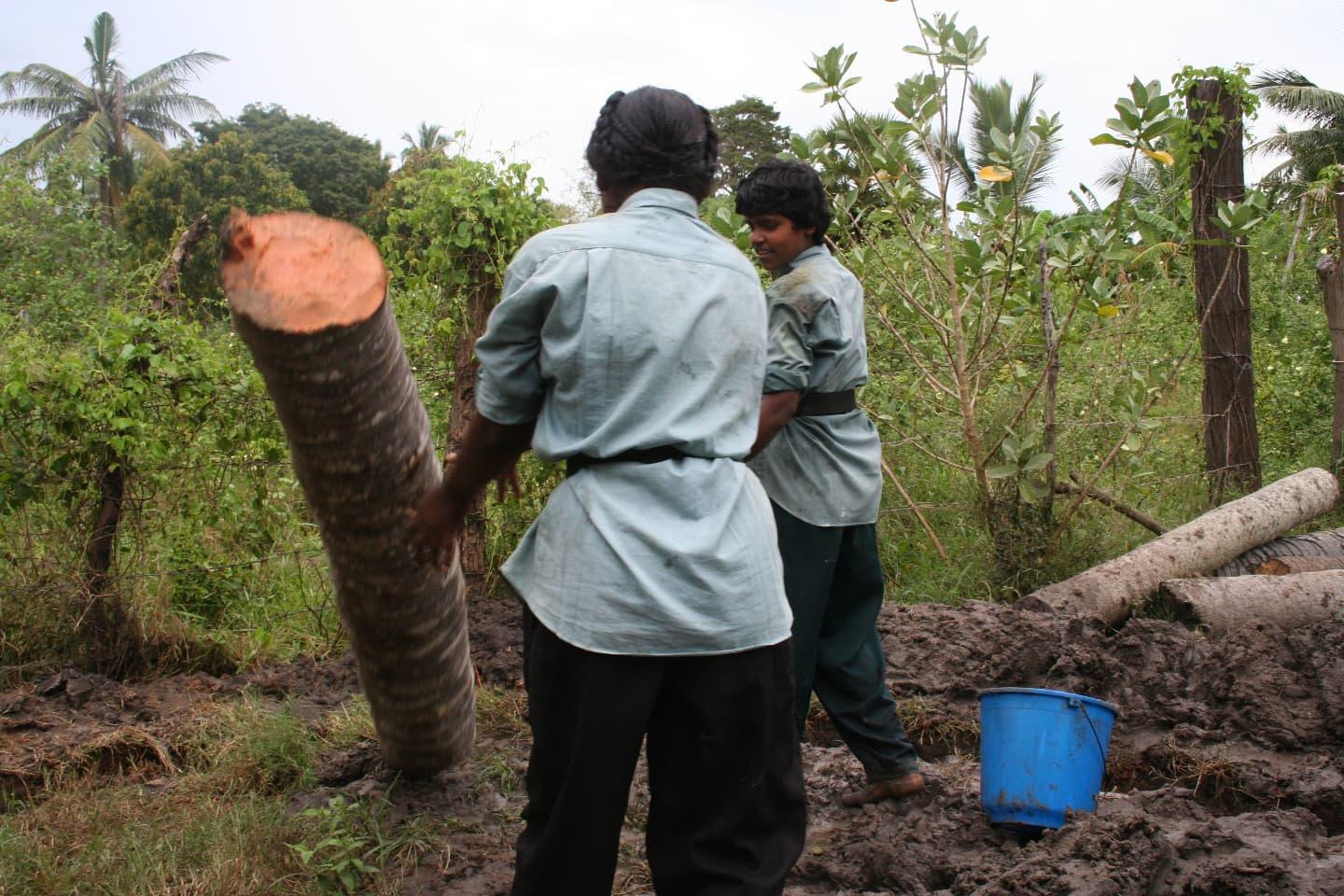 large.10-4-2008(6).jpg.84787ca9af0f4300d