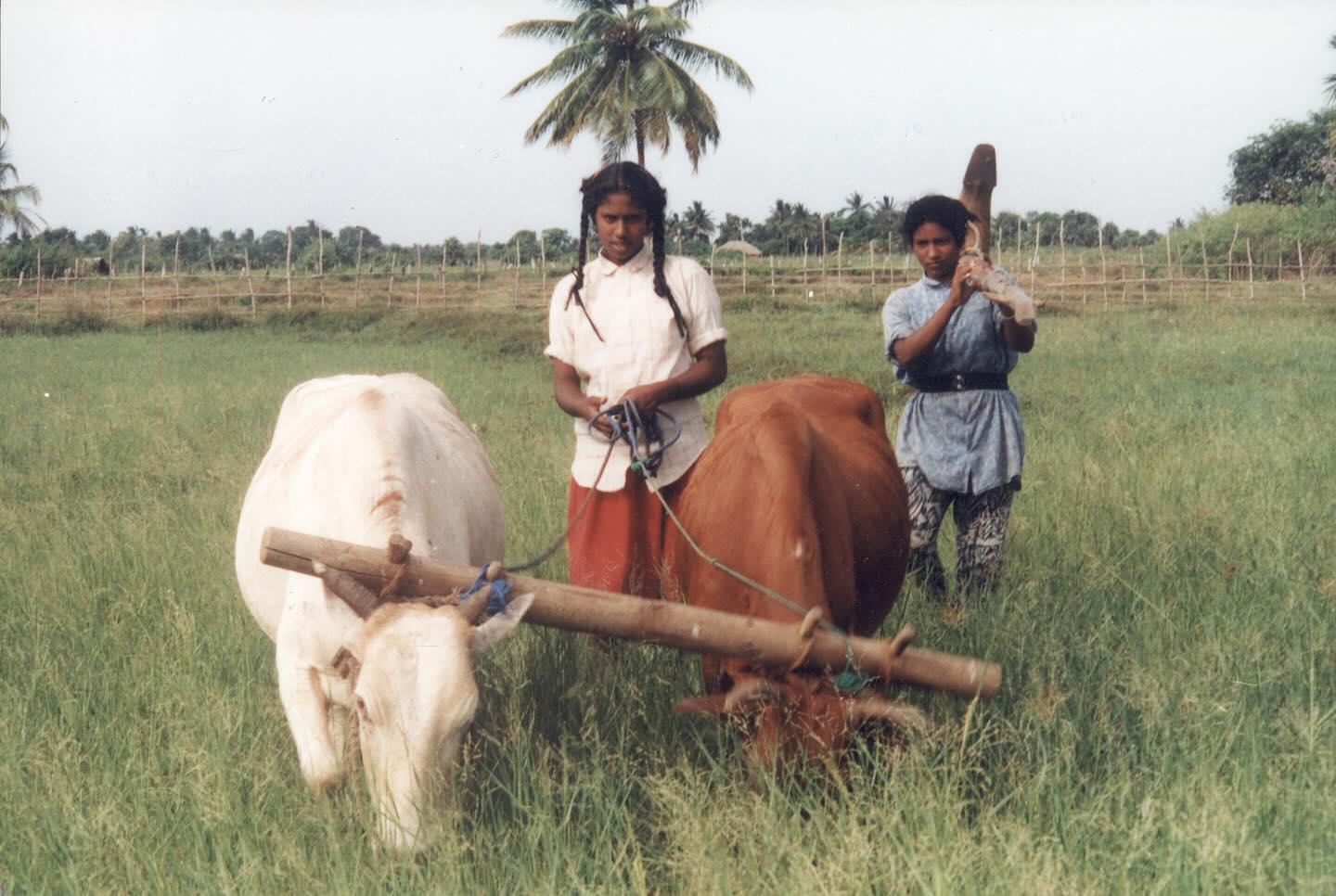 large.473650220_3784748315119717_2032934