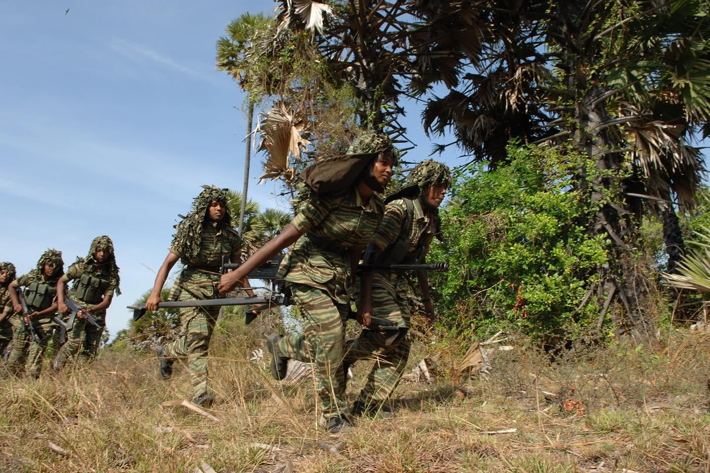 large.MalathyRegiment.jpg.8884d5a3f30579