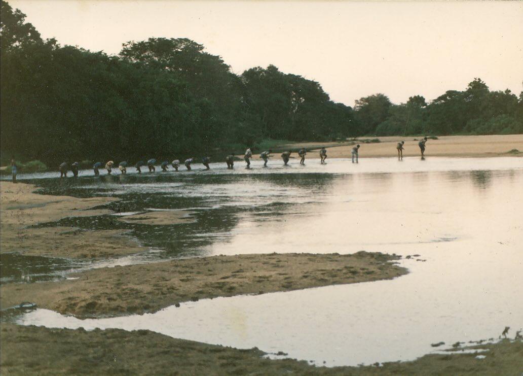 large.batti(2).jpg.b2ead227c74352749b28b