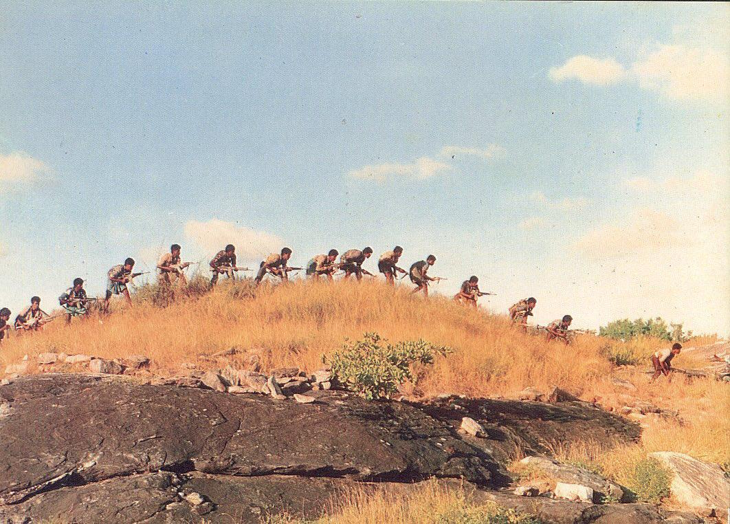 large.batti(3).jpg.51818eb8d0aad94b8beaa