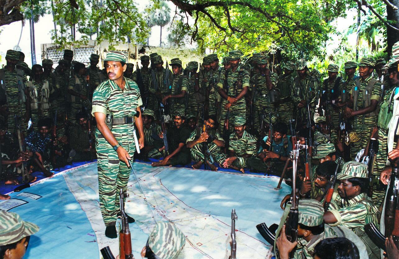 large.blaraj.jpg.f1e13d7c8a971e0237c7147