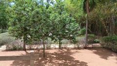 Tamil Genocide Memorial in Thanjavur district of Tamil Nadu state in the India - Mullivaikal Muttram or முள்ளிவாய்க்கால் நினைவு முற்றம் (10).jpg