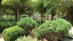 Tamil Genocide Memorial in Thanjavur district of Tamil Nadu state in the India - Mullivaikal Muttram or முள்ளிவாய்க்கால் நினைவு முற்றம் (8).jpg
