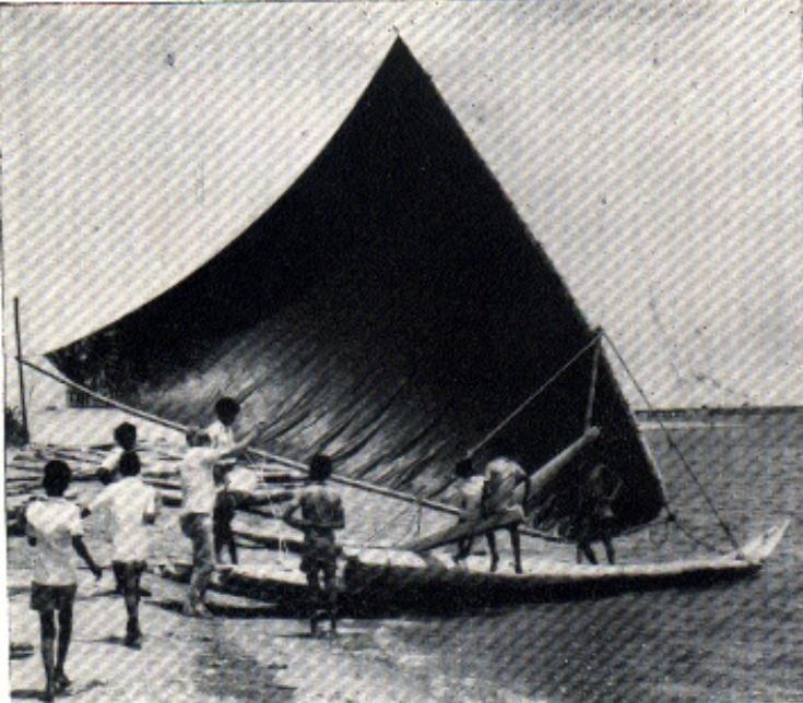 large.1444655601_.jpg.c323f9ede875ecd49e