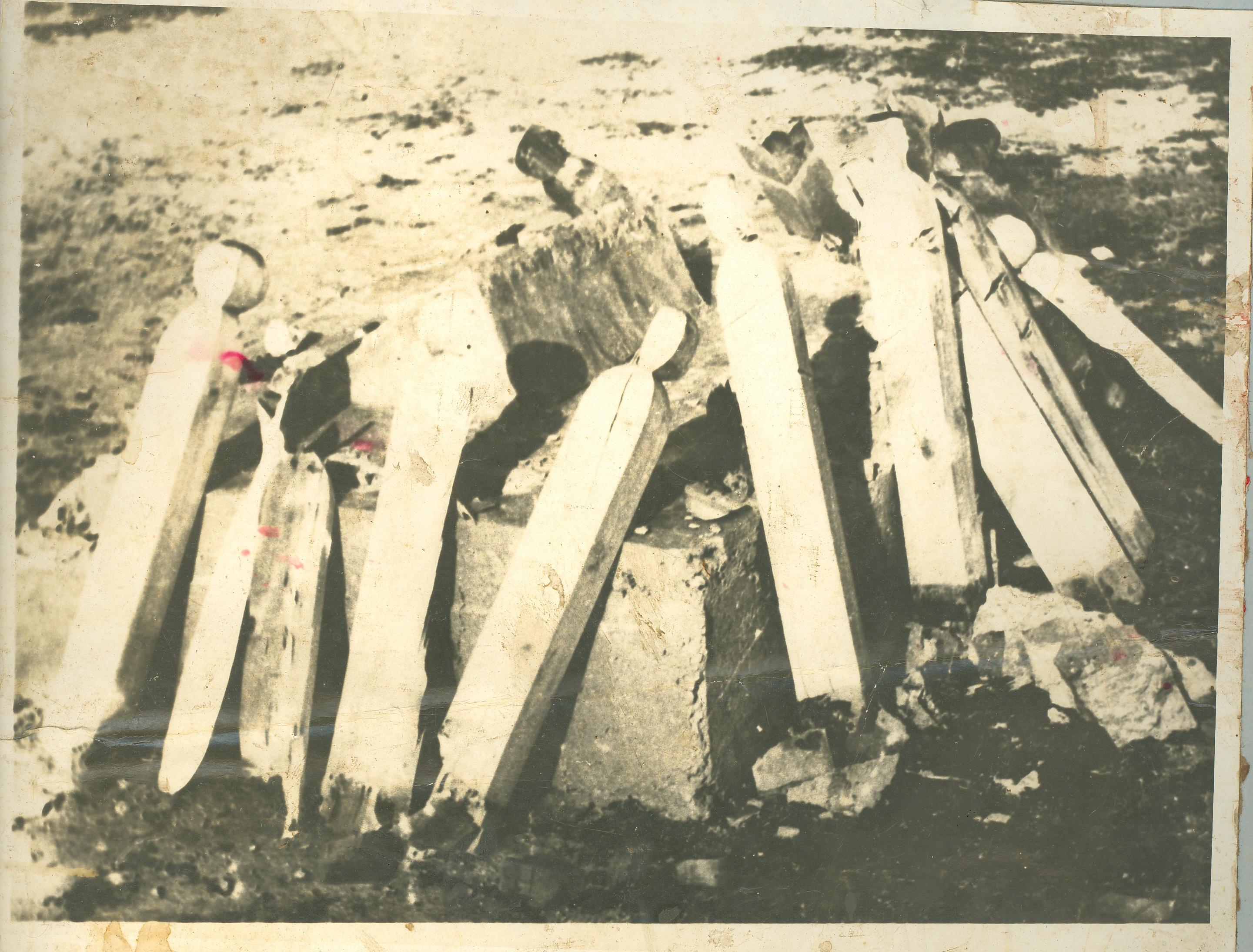 large.Picture226.jpg.34d5f58688ee73c9d8b