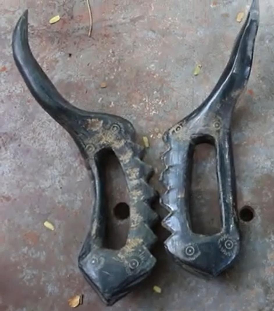 large.erumaikkompu.jpg.0f3182d48c848ef99