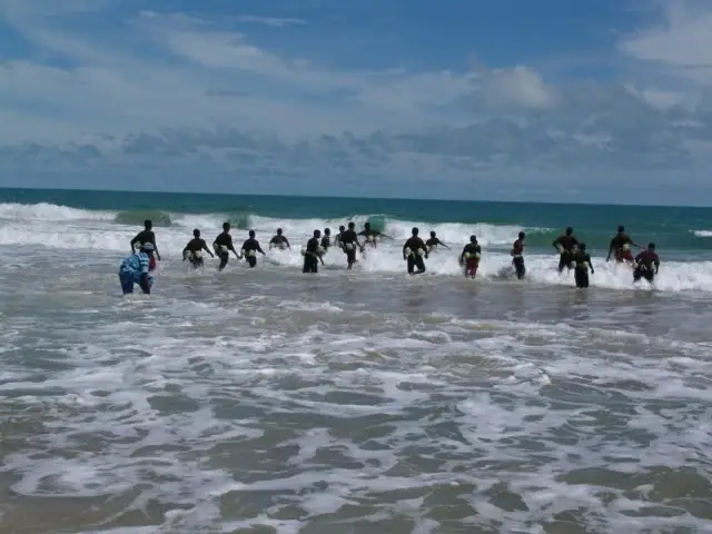 large.underwatertrainingseatigers.webp.1