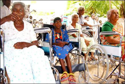 large.white_pigeon_2_280403Asectionofben