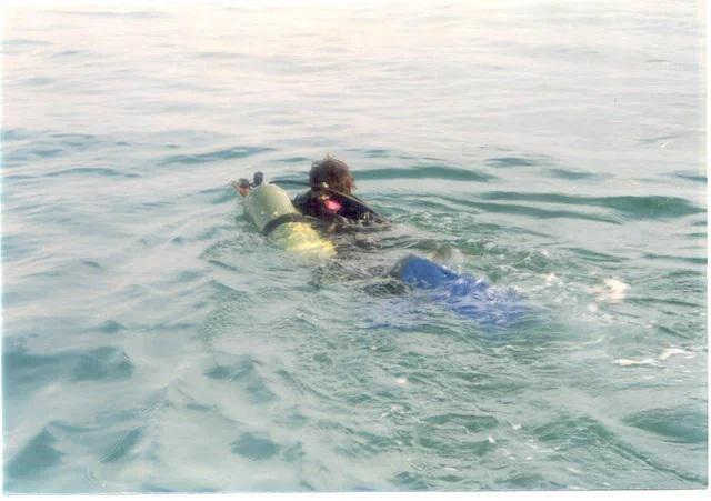 large.(5).jpg.af97a1ba481a32d9b23242ae61