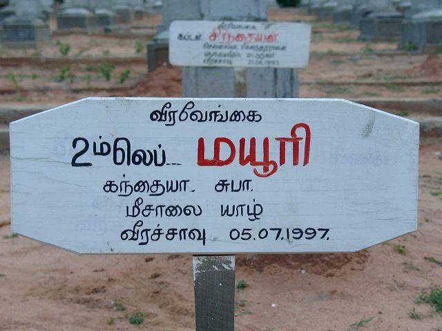 large.mayuri.jpeg.dbdd89e47548971a65b3ed