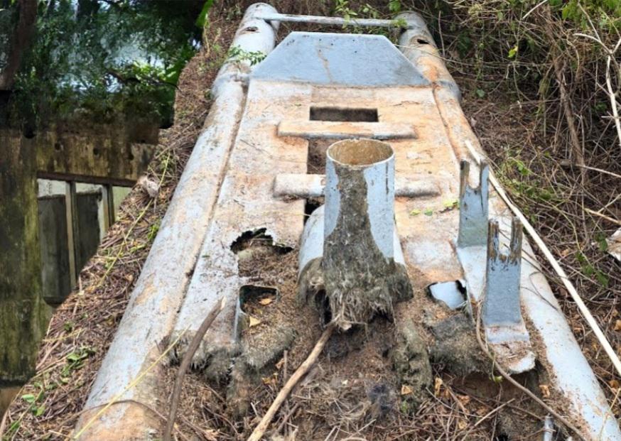 large.seatigerslpv.jpg.7111181f8fa60ea94