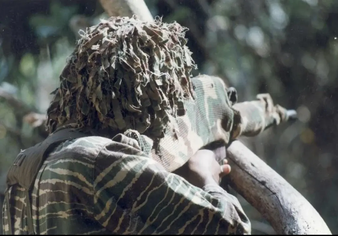 large.tamileelamlttesniper.webp.3c09bf30