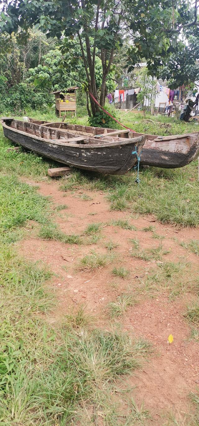 large.(2).jpg.433d8a50da3d6fbb6b6a448dfa