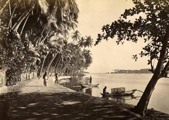 large.8a40d-old-batticaloa-history.jpg.8