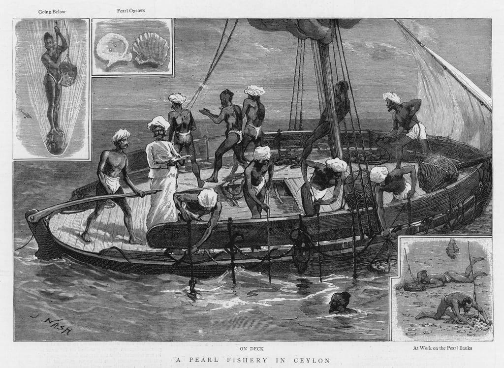 large.AnimageofapearlfisherypublishedinTheGraphic1887.jpg.e8d1eabe8cd601647dee31194ebafd98.jpg