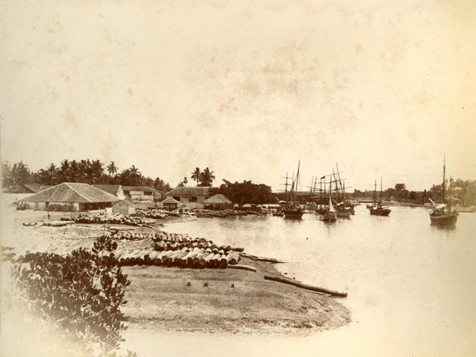 large.batticaloaharbour.jpg.6b80b259d46c