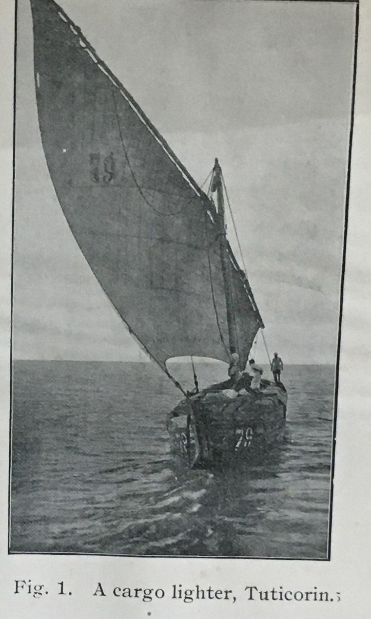 large.cargolighterfromtutucorin1900s.jpg