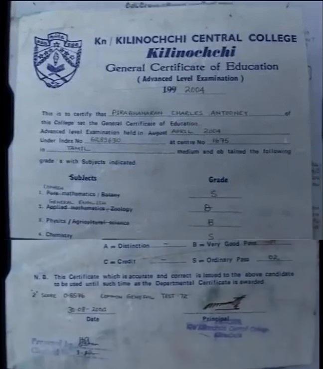 large.charlescentral.jpg.4e73fadd1e8020d