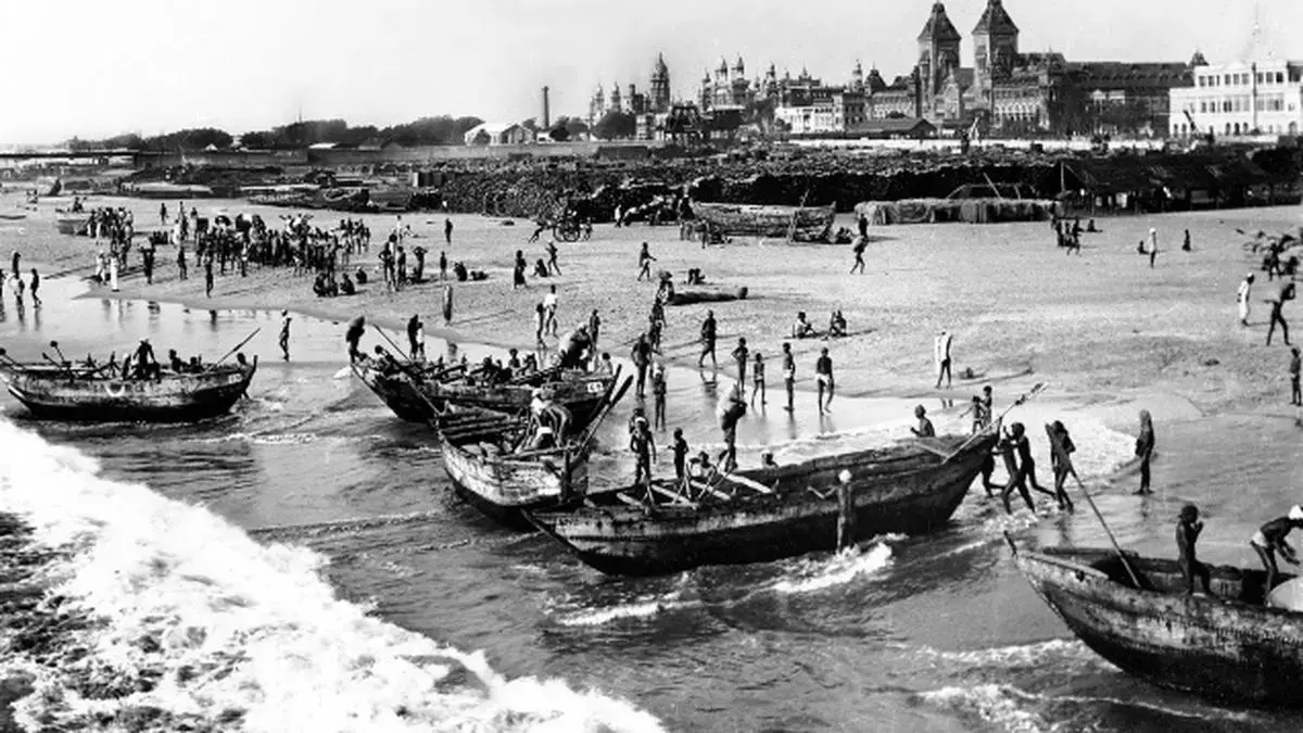 large.madraspadaku.webp.4664400314534b2c