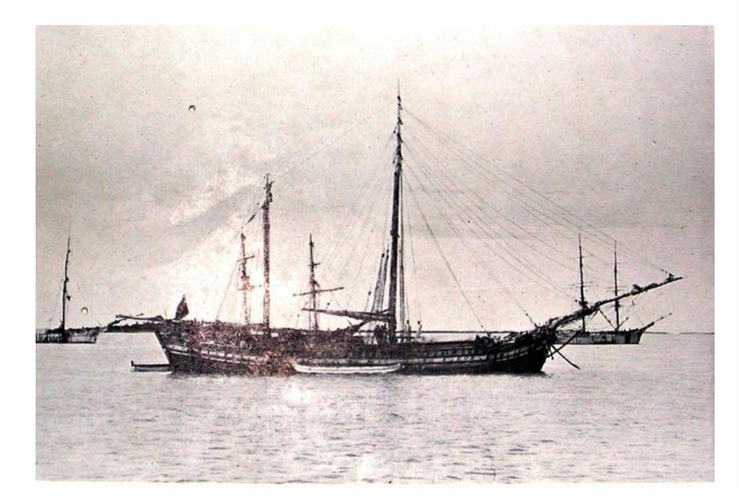 large.onaforeginsoil.jpg.e89b794c378c791