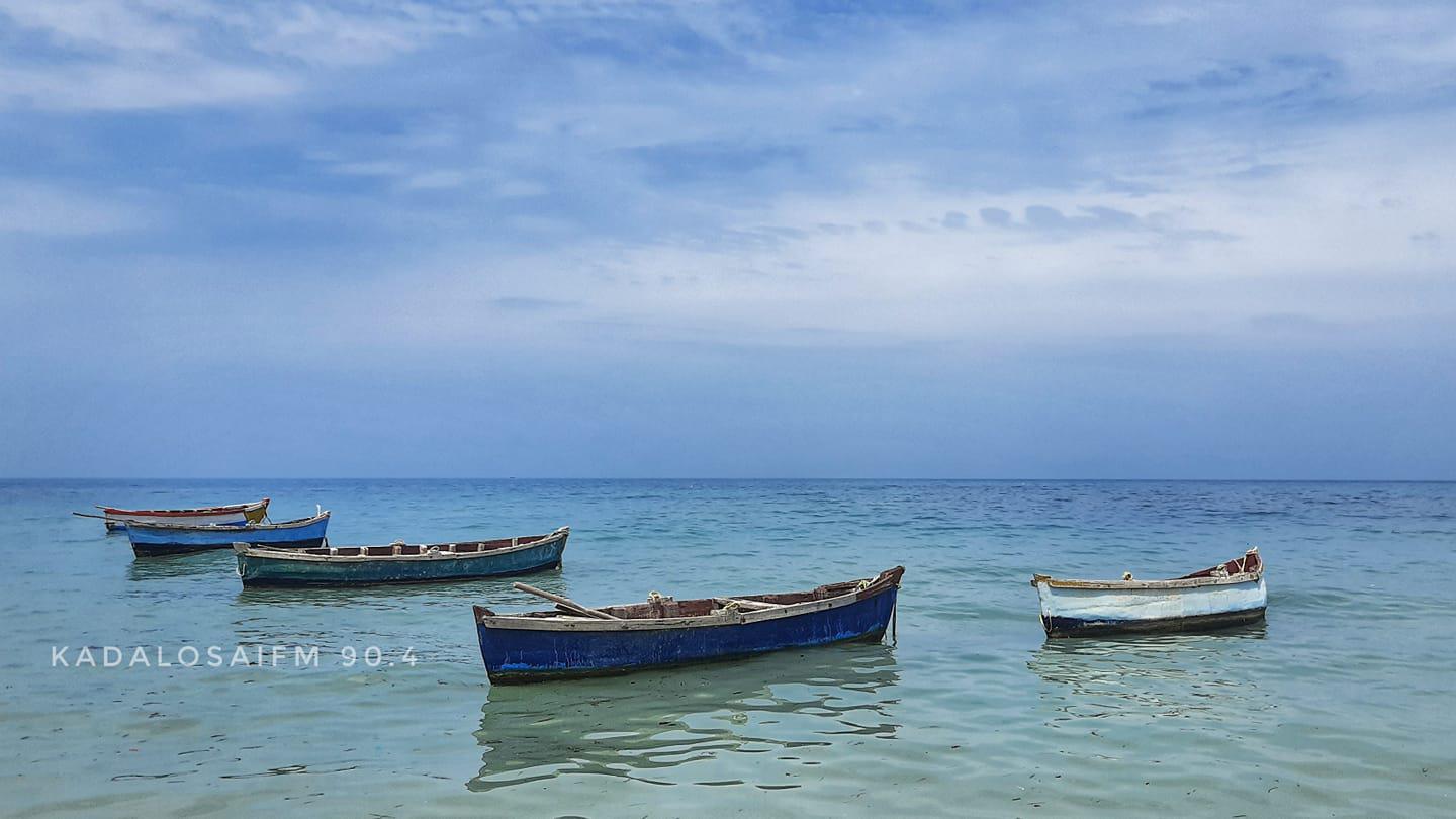 large.vaththai.jpg.a3c837b9ece13c5f6e848