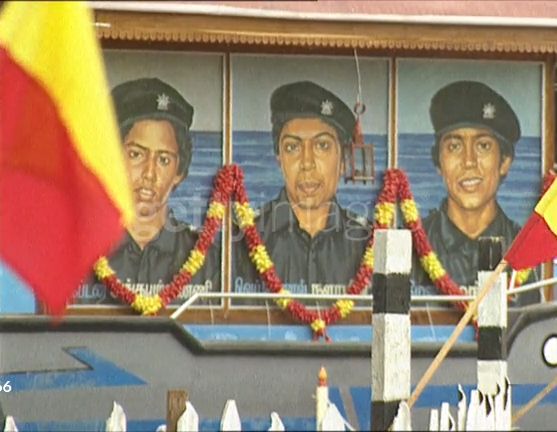 large.BlackTIgers.jpg.3c829080afbdc1e79d