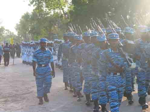 large.LTTESeaTigersParadealongwithSeaBla