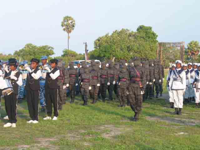 large.LTTESeaTigersParadealongwithSeaBla