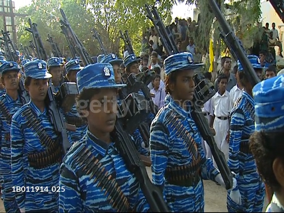 large.SeaTigers.jpg.676fb7cb83f30a79ad41