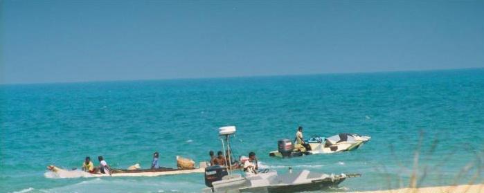 large.lttekfirclasscraftofseatigers.jpg.