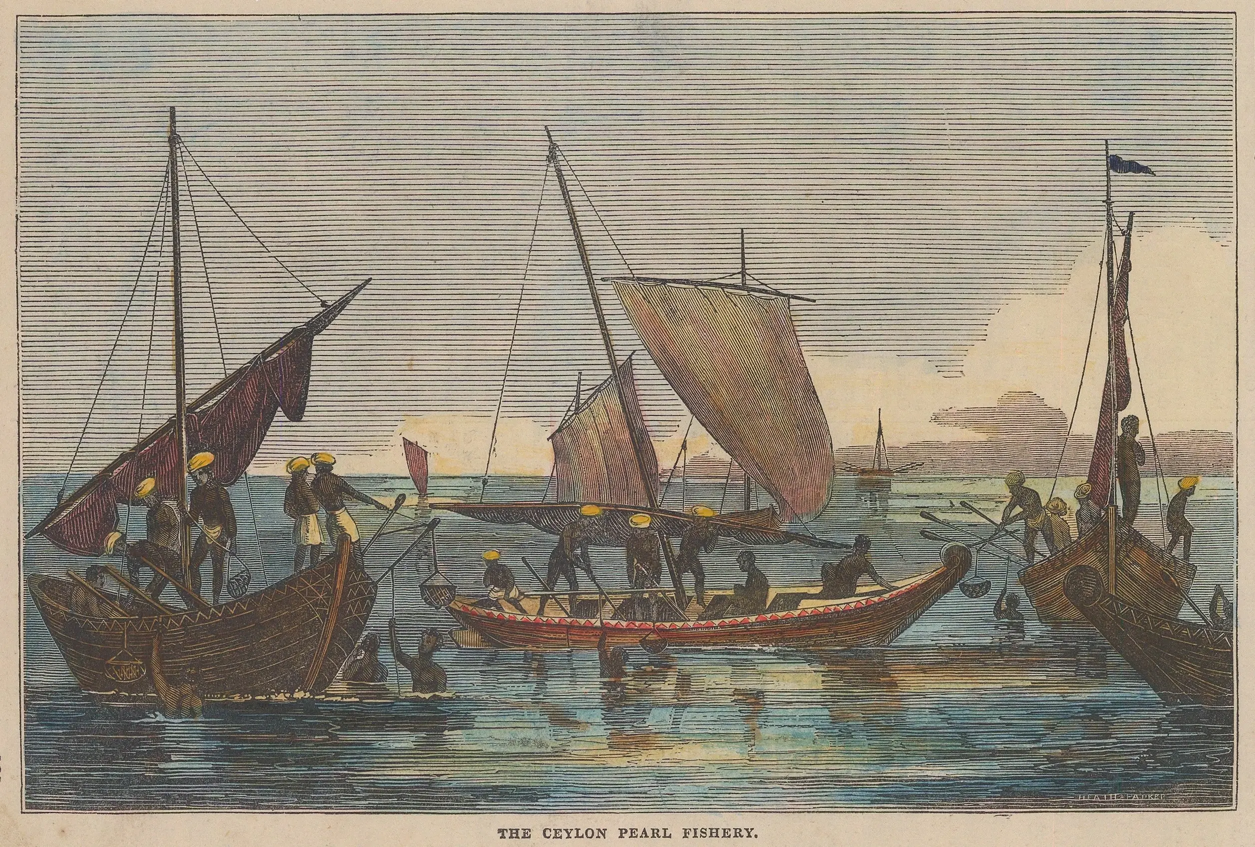 pearl-fishery-ceylon-2K01N27.jpg