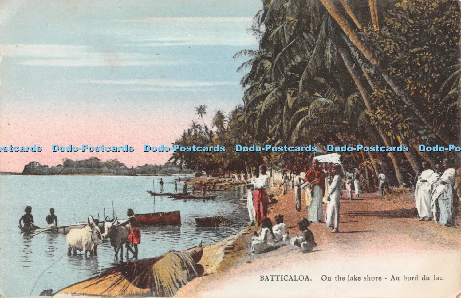 large.asdsasa.webp.36995b406808d39bed0cd