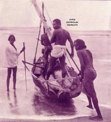 1895 madras | Rare image of Kattuthooni