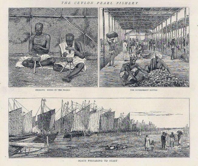 large.TheCeylonPearlFishery1874..jpg.de9