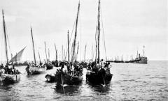 1926 gulf of mannar.jpg