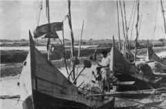 Vaththai, ADIRAMPATTINAM, TAMIL NADU, INDIA.jpg