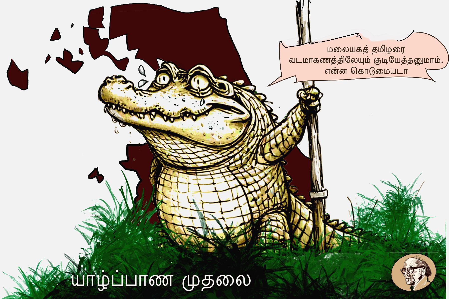 large.IMG_9310.jpeg.66c27db3a9b52d54af29