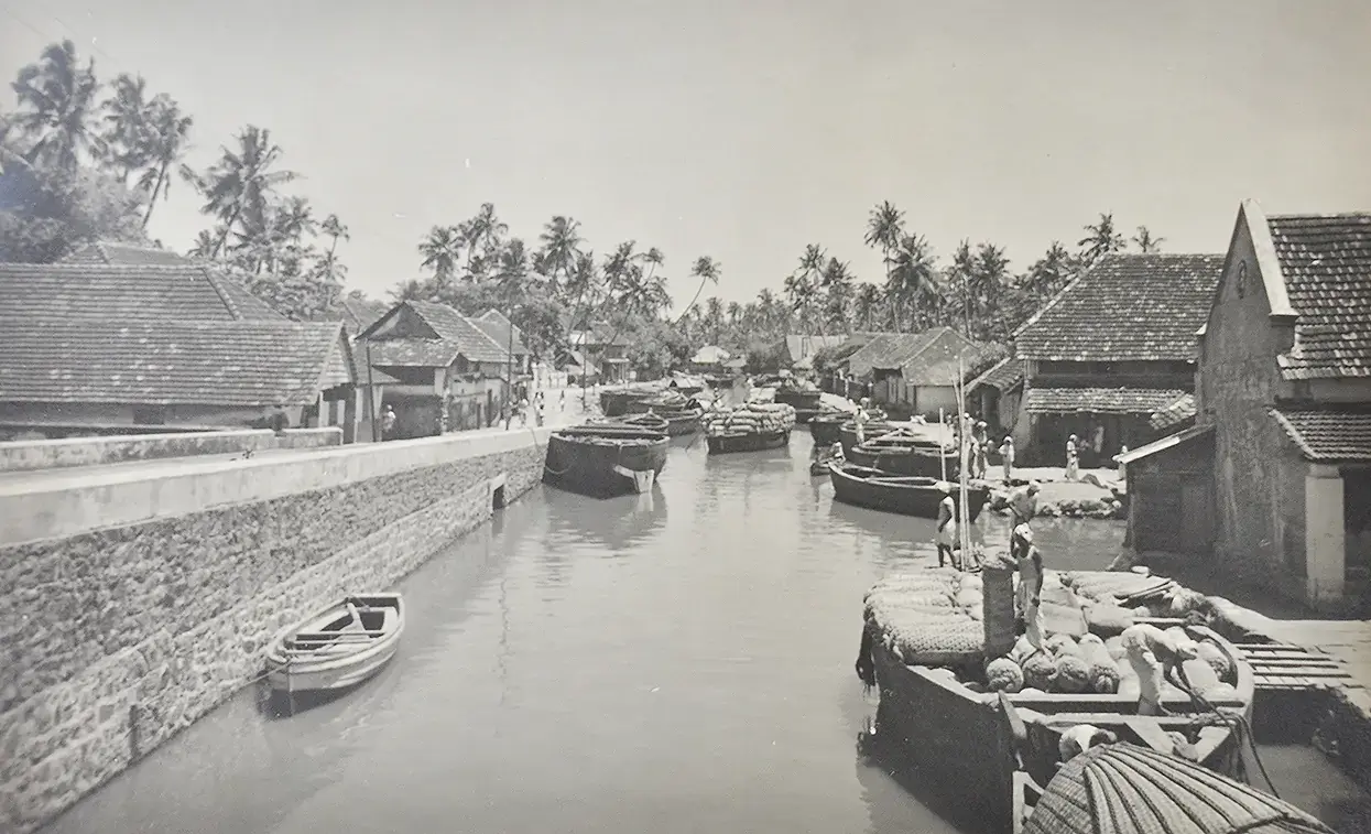Kerala boats of backwater (2).webp