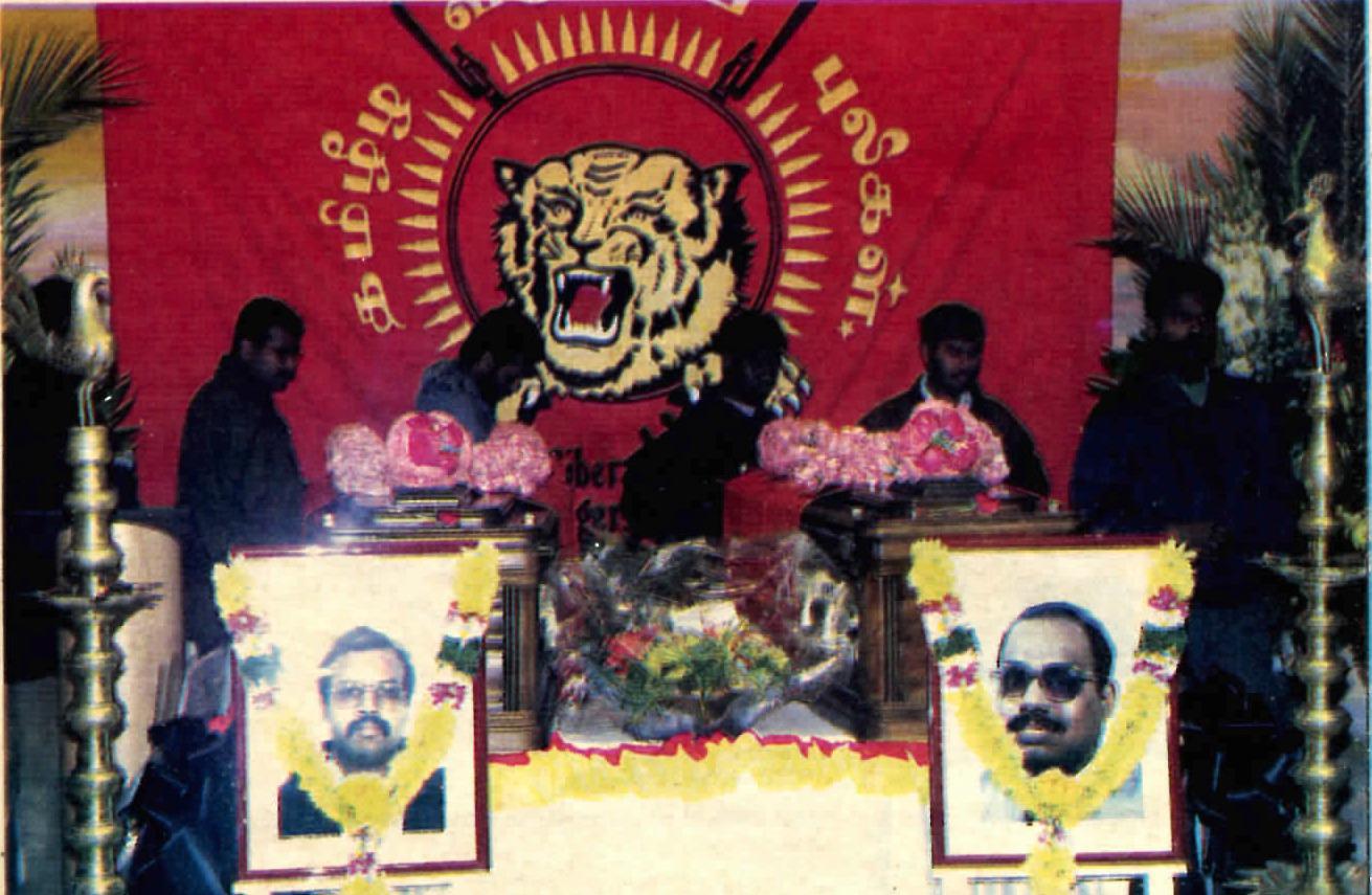 large.sadas.jpeg.8cc391f7a8cbcc94bf764a6