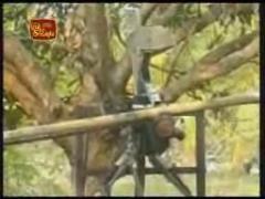 Home made Fixed wing aircraft of the Sky Tigers of Liberation Tiger - LTTE - Air Force of Tamil Eelam (1).jpg