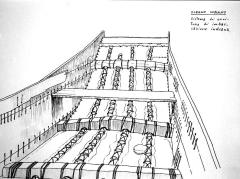 19th centuary - A sewn-plank outrigger fishing vessel - Pattai - from Marawila, Puttalam, Ceylon