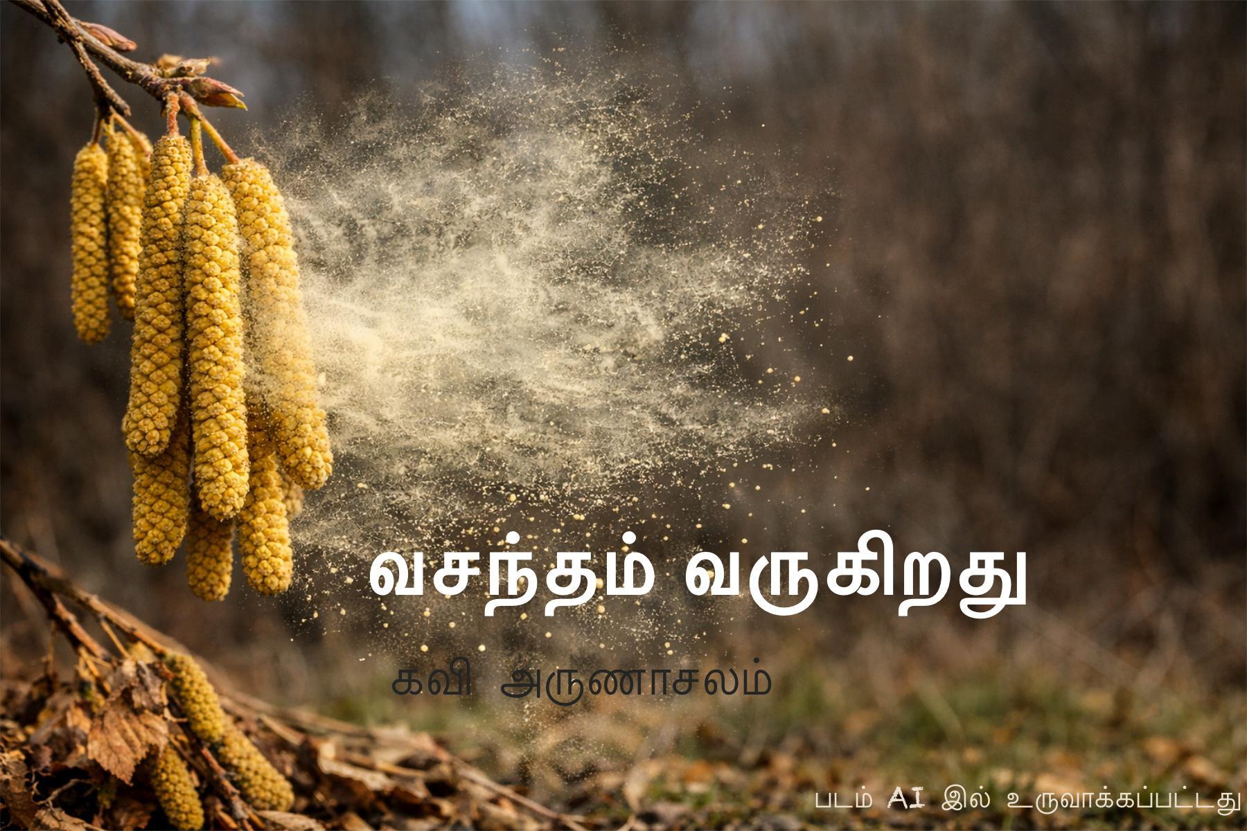 large.IMG_0017.jpeg.2d39f262174da1b25981