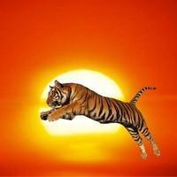 நன்னிச் சோழன்