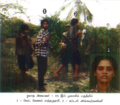 unceasing waves 3 ltte.png
