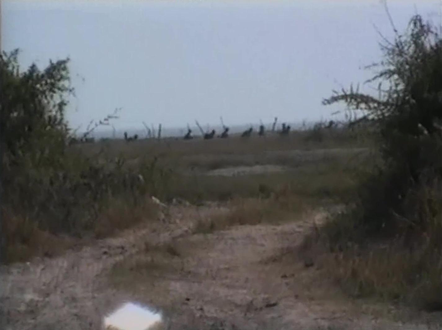 large.SLmilitaryrunningaway.jpg.98e30e03