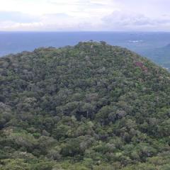நியாயம்