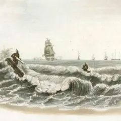 Naalukandamaram