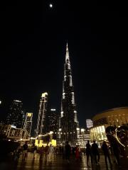 IMG_5595.jpeg