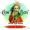 Tamilcowboy